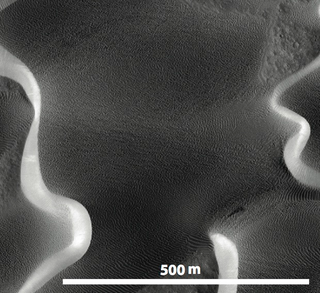 Wind-drag ripples in formation at Nili Patera (Image: NASA/JPL via Mathieu LaPotre)